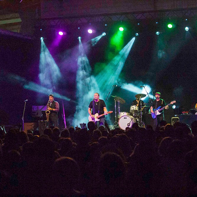 Revolver Cuervarrozk 2024